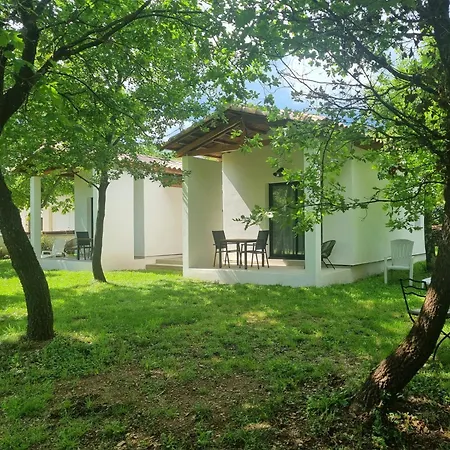Boheme En Cevennes - O Jardin D'a Cote Aveze (Gard)