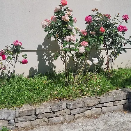 Apartment Boheme En Cevennes - O Jardin D'a Cote *